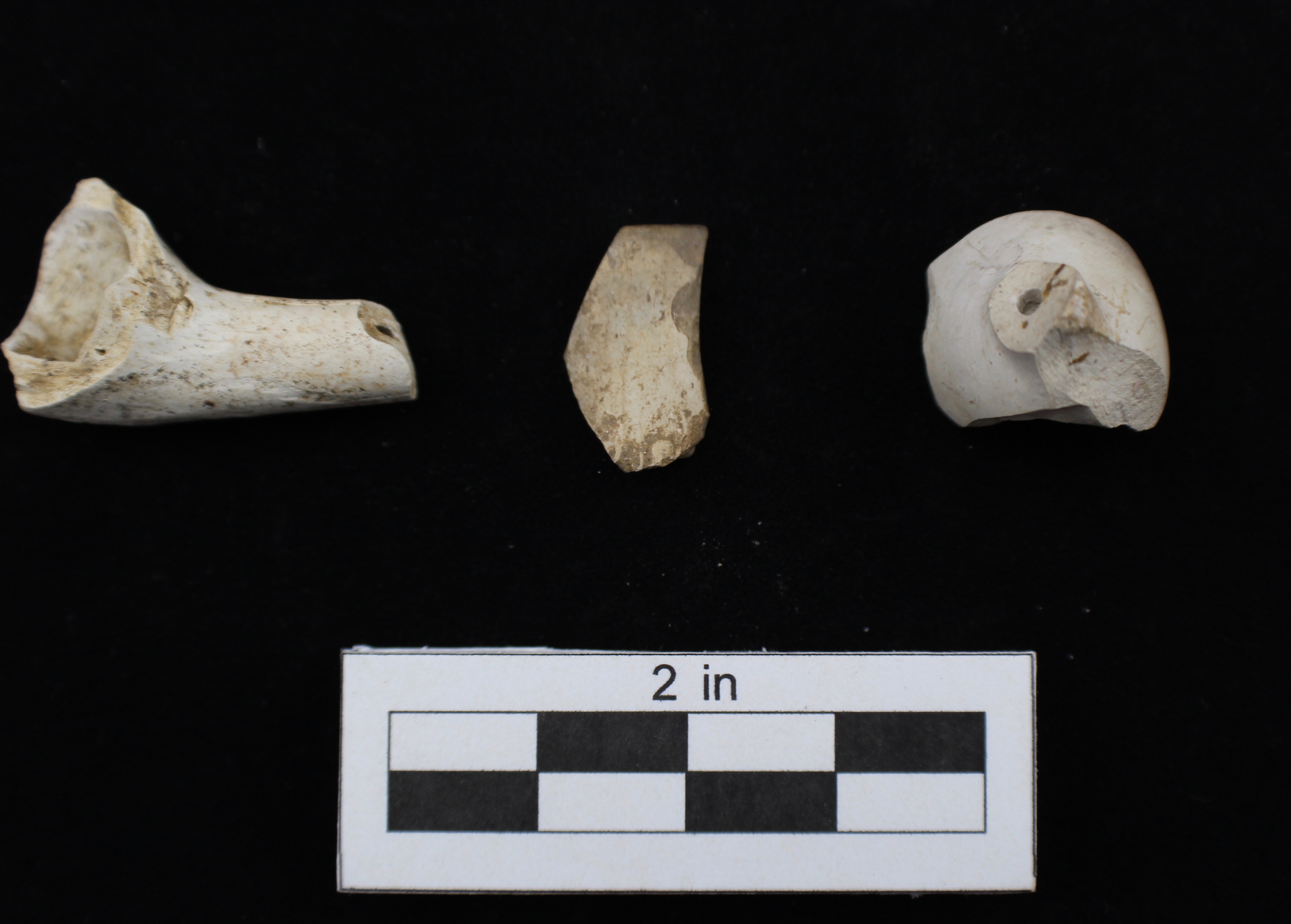 Artifact of the Day Pipes! The Herring Run Archaeology Project