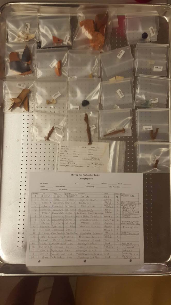 13838426_10205847403939123_550618870_o