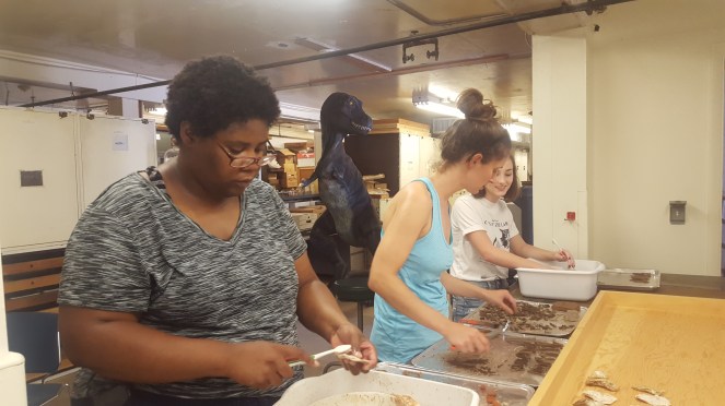 Lab Notes: August 13,&nbsp;2016