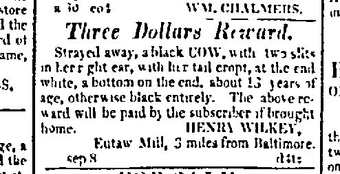 Three Dollars Reward