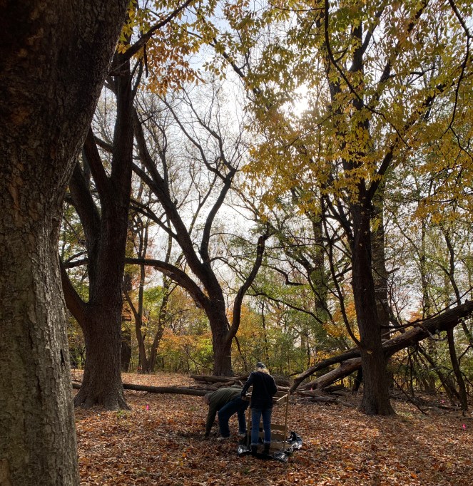 Heritage Trail, Oral Histories, and&nbsp;Tours!